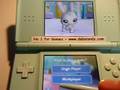 Littlest Pet Shop: Garden (DS)