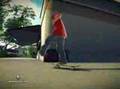 Skate (Xbox 360)