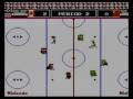 Ice Hockey (Wii)