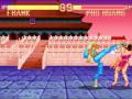 Super Fighter (PC)