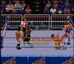 WWF Royal Rumble (Genesis)