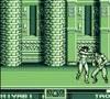 Raging Fighter (Game Boy)