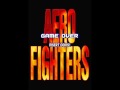 Aero Fighters (Arcade Games)