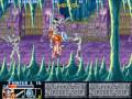 The King of Dragons (Arcade Games)