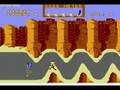 Road Runner (NES)