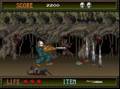 Splatterhouse (Arcade Games)