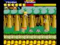 Wonder Boy (Arcade Games)