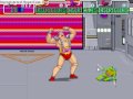 Turtles (Arcade Games)