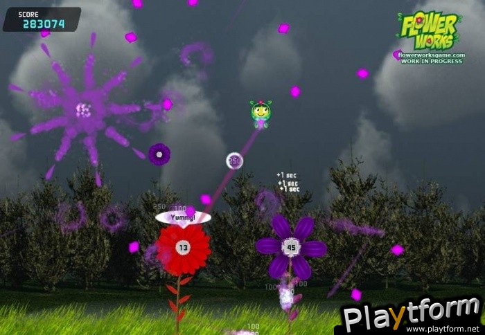 Flowerworks (PC)