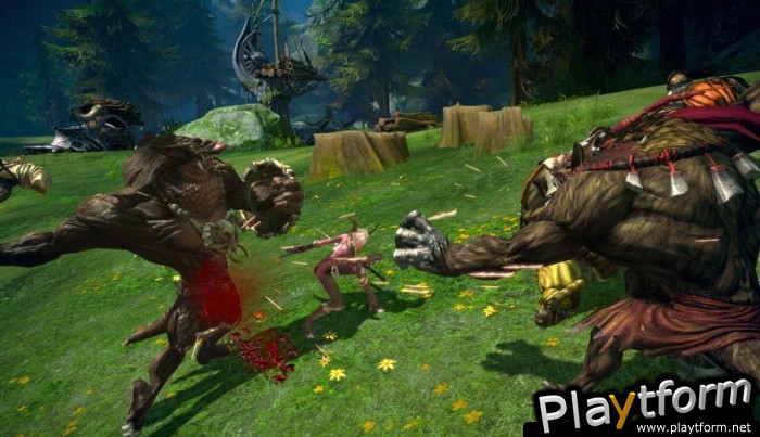 TERA: The Exiled Realm of Arborea (PC)