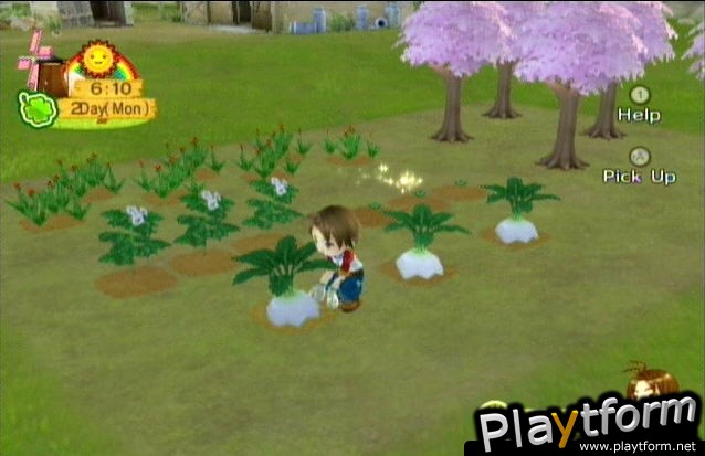 Harvest Moon: Animal Parade (Wii)