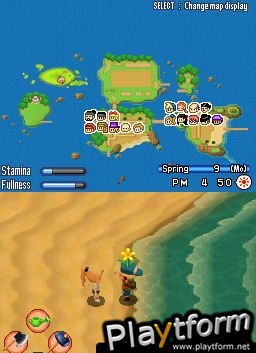 Harvest Moon DS: Sunshine Islands (DS)