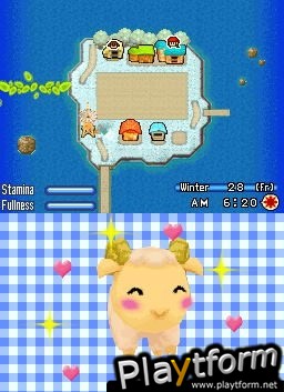 Harvest Moon DS: Sunshine Islands (DS)