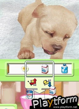 Petz Nursery (DS)