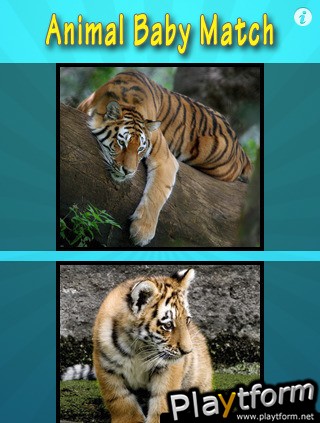 Animal Baby Match (iPhone/iPod)