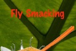 Fly Smack (iPhone/iPod)