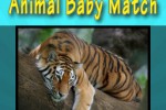 Animal Baby Match (iPhone/iPod)