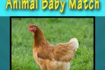 Animal Baby Match (iPhone/iPod)