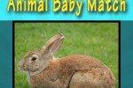 Animal Baby Match (iPhone/iPod)