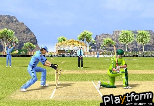 Cricket Revolution (PC)