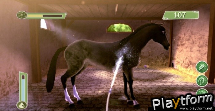 Petz: Saddle Club (PSP)