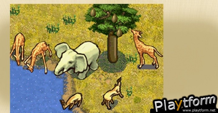 SimAnimals Africa (DS)