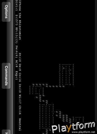 NetHack (iPhone/iPod)