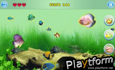 Fish Fun (iPhone/iPod)