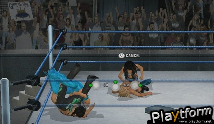 WWE SmackDown vs. Raw 2010 (Wii)