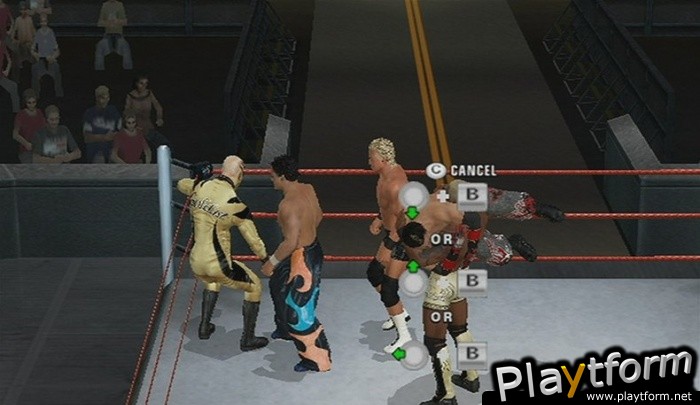 WWE SmackDown vs. Raw 2010 (Wii)