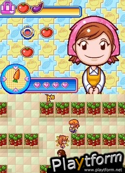 Cooking Mama 3: Shop & Chop (DS)