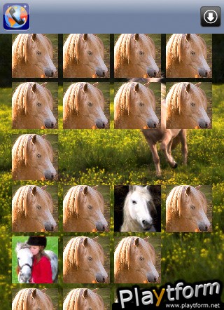 Horse Pairs (iPhone/iPod)