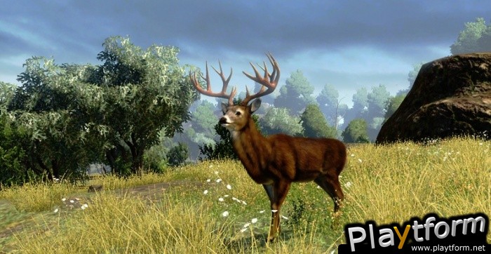 Cabela's Outdoor Adventures(2009) (PC)