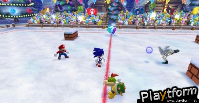 Mario & Sonic at the Olympic Winter Games (Wii)