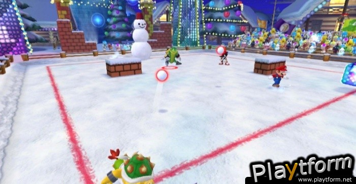 Mario & Sonic at the Olympic Winter Games (Wii)