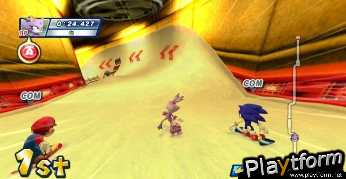 Mario & Sonic at the Olympic Winter Games (Wii)