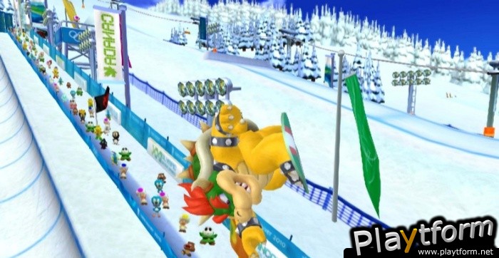 Mario & Sonic at the Olympic Winter Games (Wii)