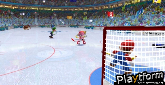 Mario & Sonic at the Olympic Winter Games (Wii)