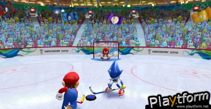 Mario & Sonic at the Olympic Winter Games (Wii)