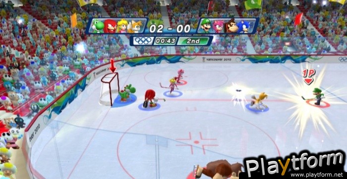 Mario & Sonic at the Olympic Winter Games (Wii)