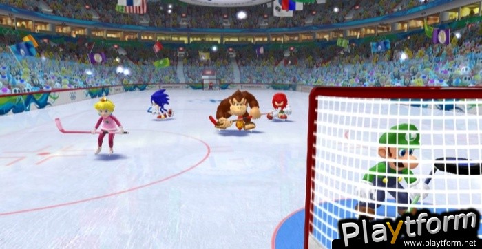 Mario & Sonic at the Olympic Winter Games (Wii)