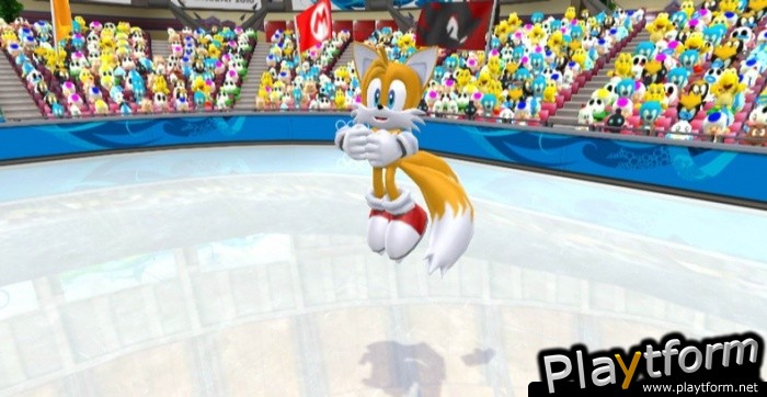 Mario & Sonic at the Olympic Winter Games (Wii)