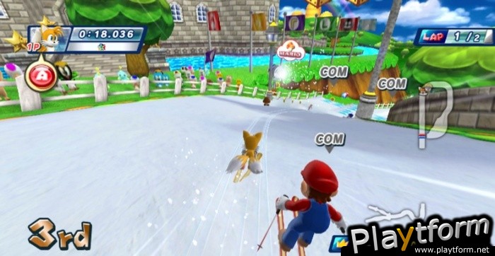 Mario & Sonic at the Olympic Winter Games (Wii)