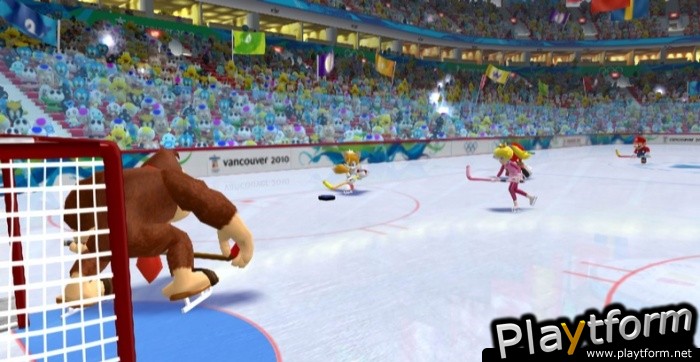 Mario & Sonic at the Olympic Winter Games (Wii)