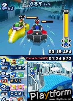 Mario & Sonic at the Olympic Winter Games (DS)