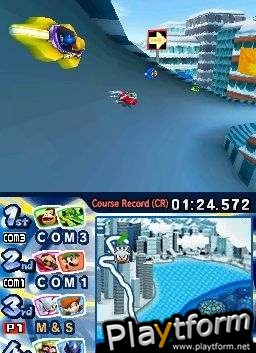 Mario & Sonic at the Olympic Winter Games (DS)