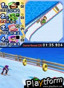 Mario & Sonic at the Olympic Winter Games (DS)