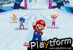 Mario & Sonic at the Olympic Winter Games (DS)