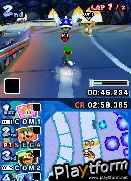 Mario & Sonic at the Olympic Winter Games (DS)