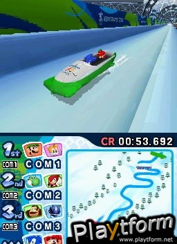 Mario & Sonic at the Olympic Winter Games (DS)